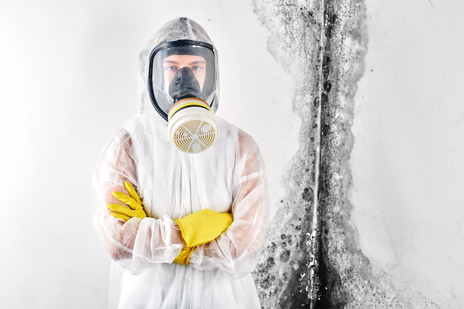 Mold Demolition & Restoration