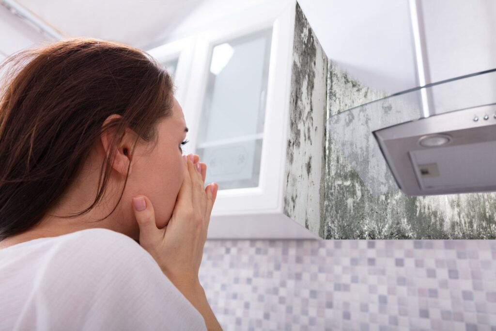 Mold Demolition & Restoration in Central Kentucky