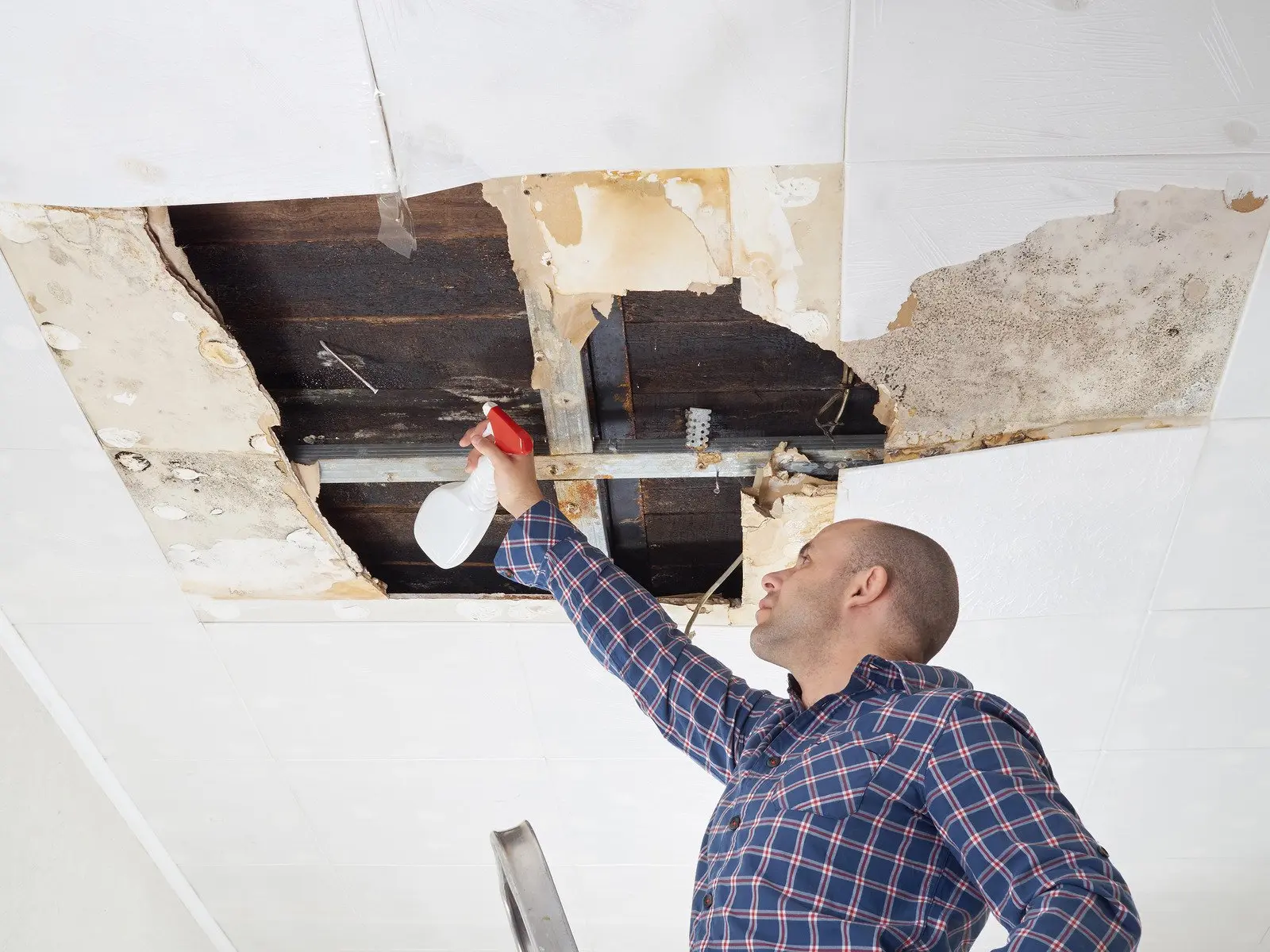 Mold Demolition & Restoration