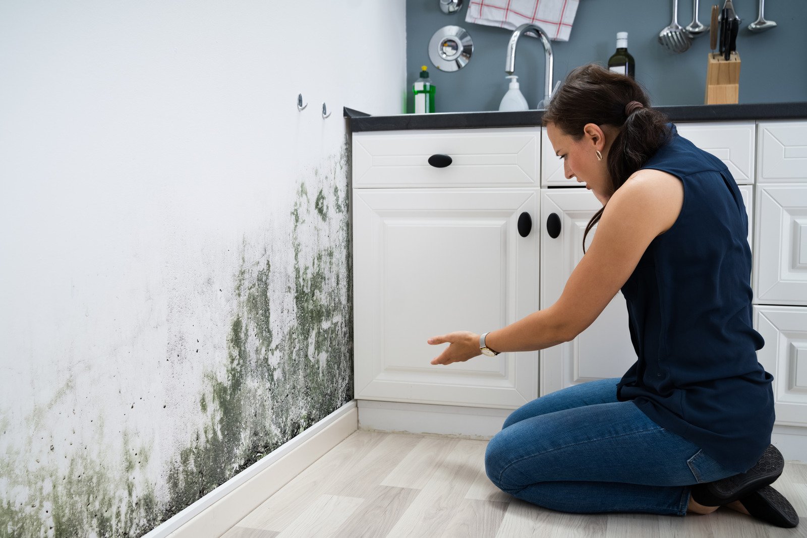 Mold Demolition & Restoration